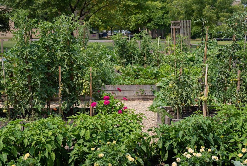 ufarm_gallery_2_860.jpg